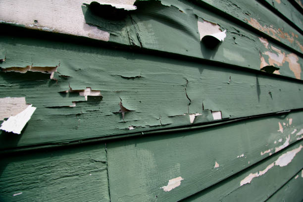 Best Same-Day Junk Removal Services  in Oyster Creek, TX